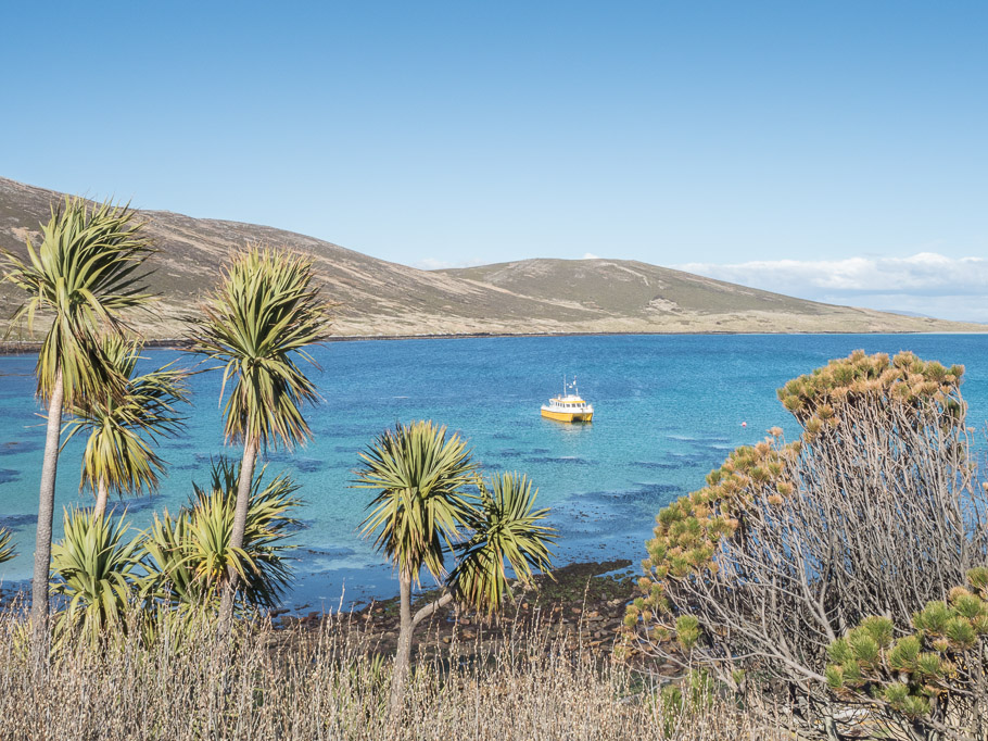Bay on Carcass Is - Falkland Islands