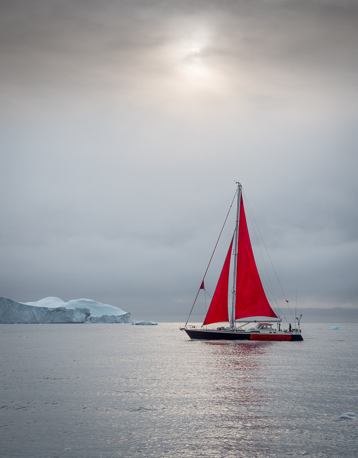 Cold Arctic Sunlight