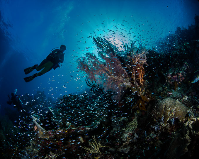 Sunrays with Glassfish Explosion