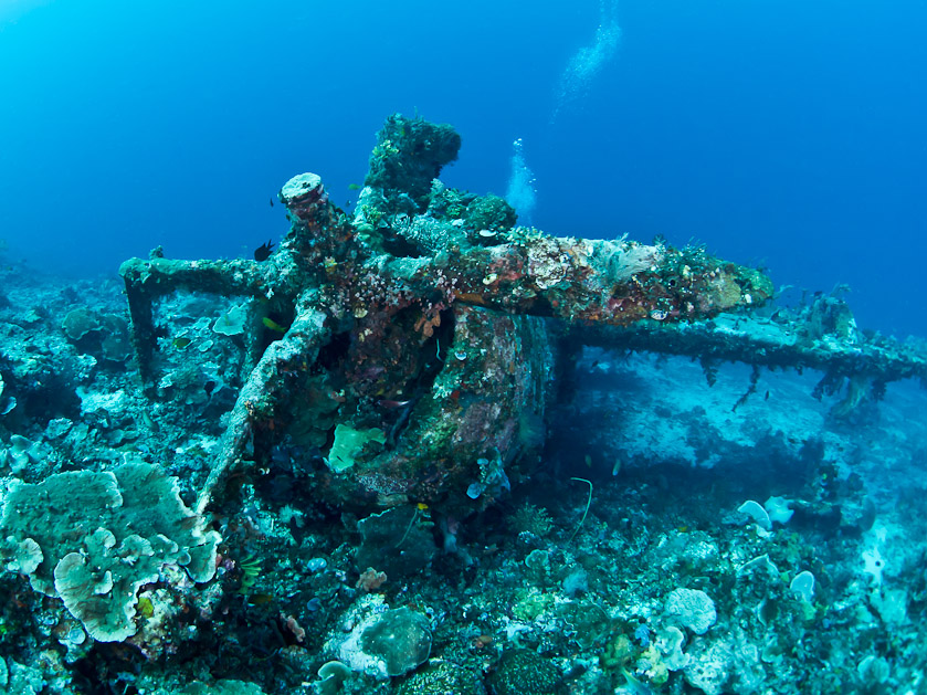 P47 Thunderbolt Wreck