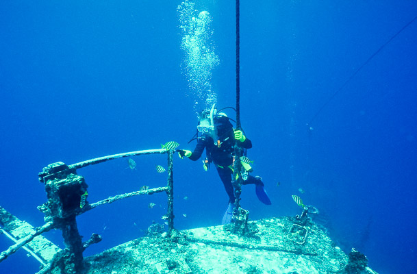 Gill comes Aboard