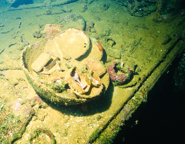 Bowls - Fujikawa Maru
