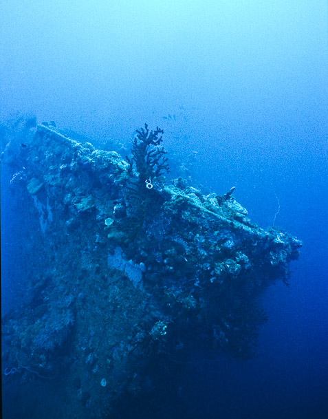 Bow - Nippo Maru