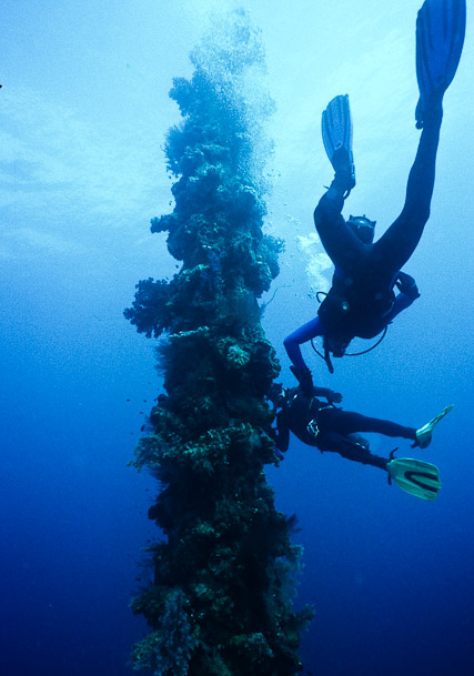 Up the Mast - Shinkoku Maru