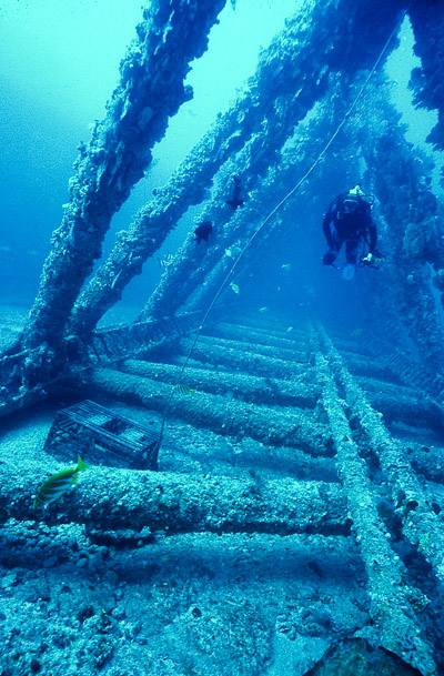 Inside a Leg - 2002