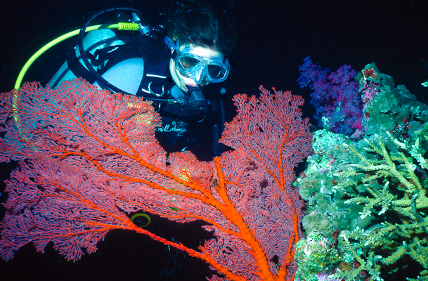 Hayley and Seafan - Cod Hole, Mermaid Reef