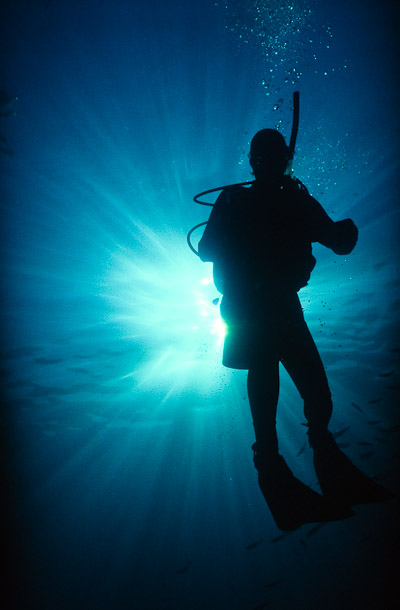 Nic in Silhouette - Mermaid Wall, Mermaid Reef