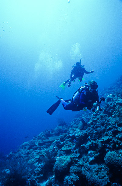 Divers on Slope - Gutters, Mermaid Reef