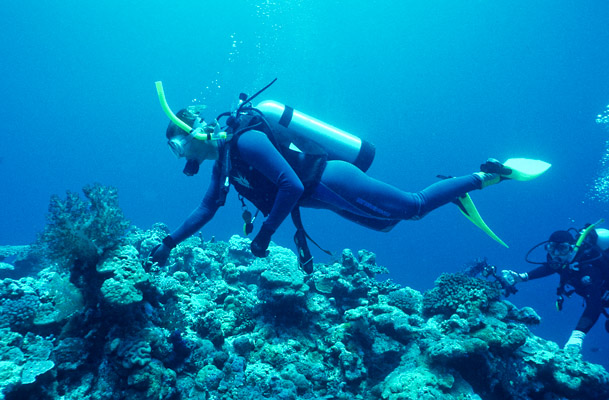 The Edge - Gutters, Mermaid Reef