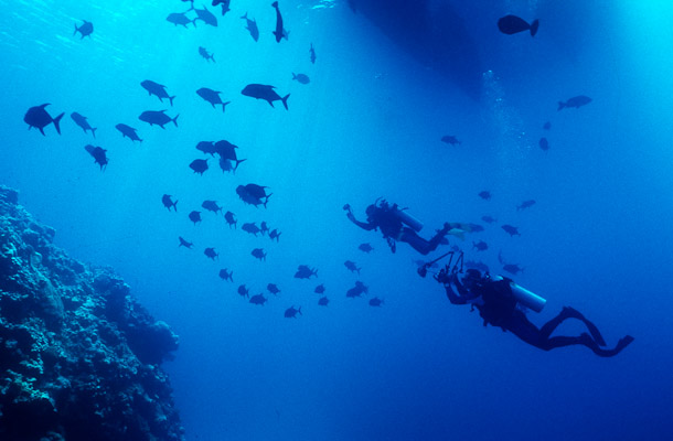 Last Dive - Cod Hole, Mermaid Reef