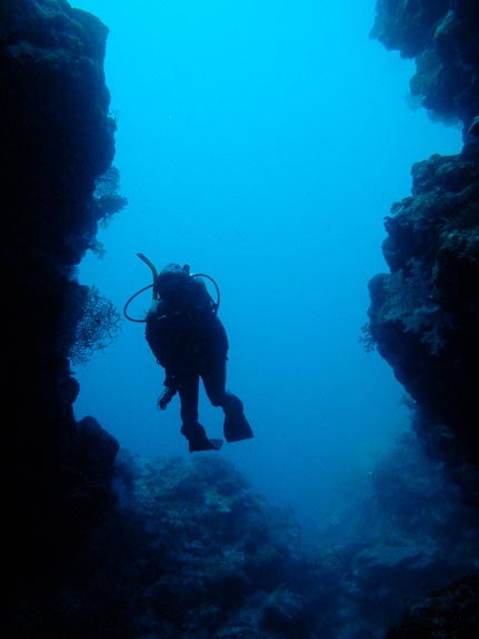 Pearl in silhouette at Caves, Mermaid Reef