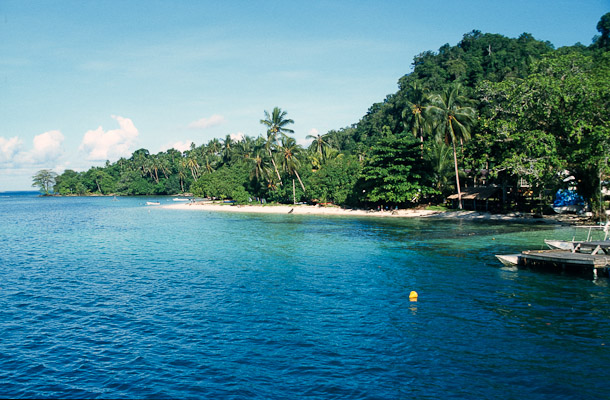 A typical beach in the Solomons, with palms and jungle